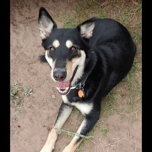 Meet your Posher, Jada